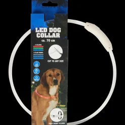 Collier LED rechargeable pour chien | Action FR Clearance