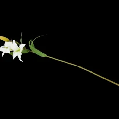 Lys artificiel | Action FR New