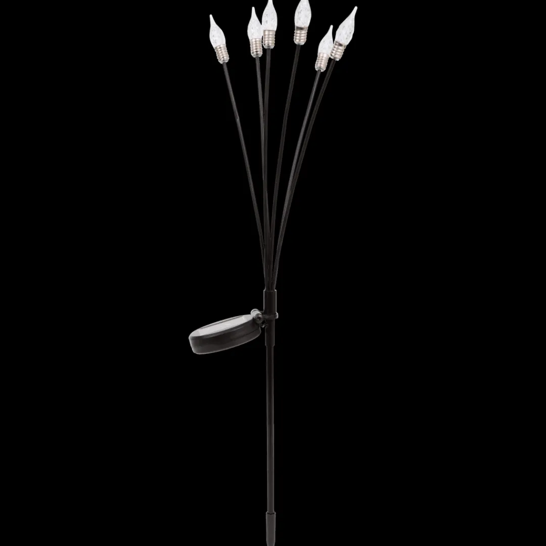 Pic de jardin LED | Action FR Discount