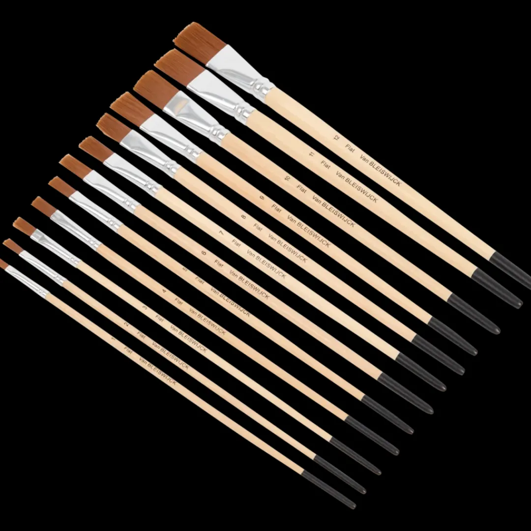 Van Bleiswijck Set de pinceaux | Action FR