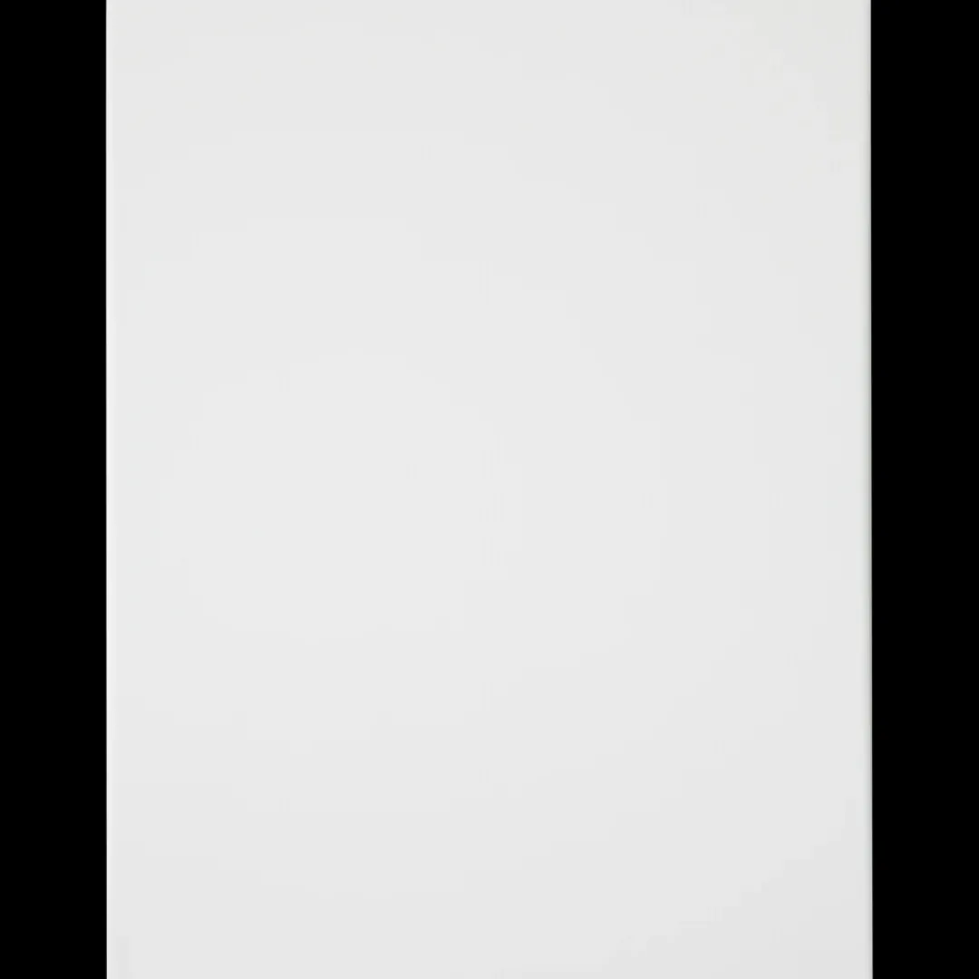 Van Bleiswijck Toile à peindre | Action FR Sale