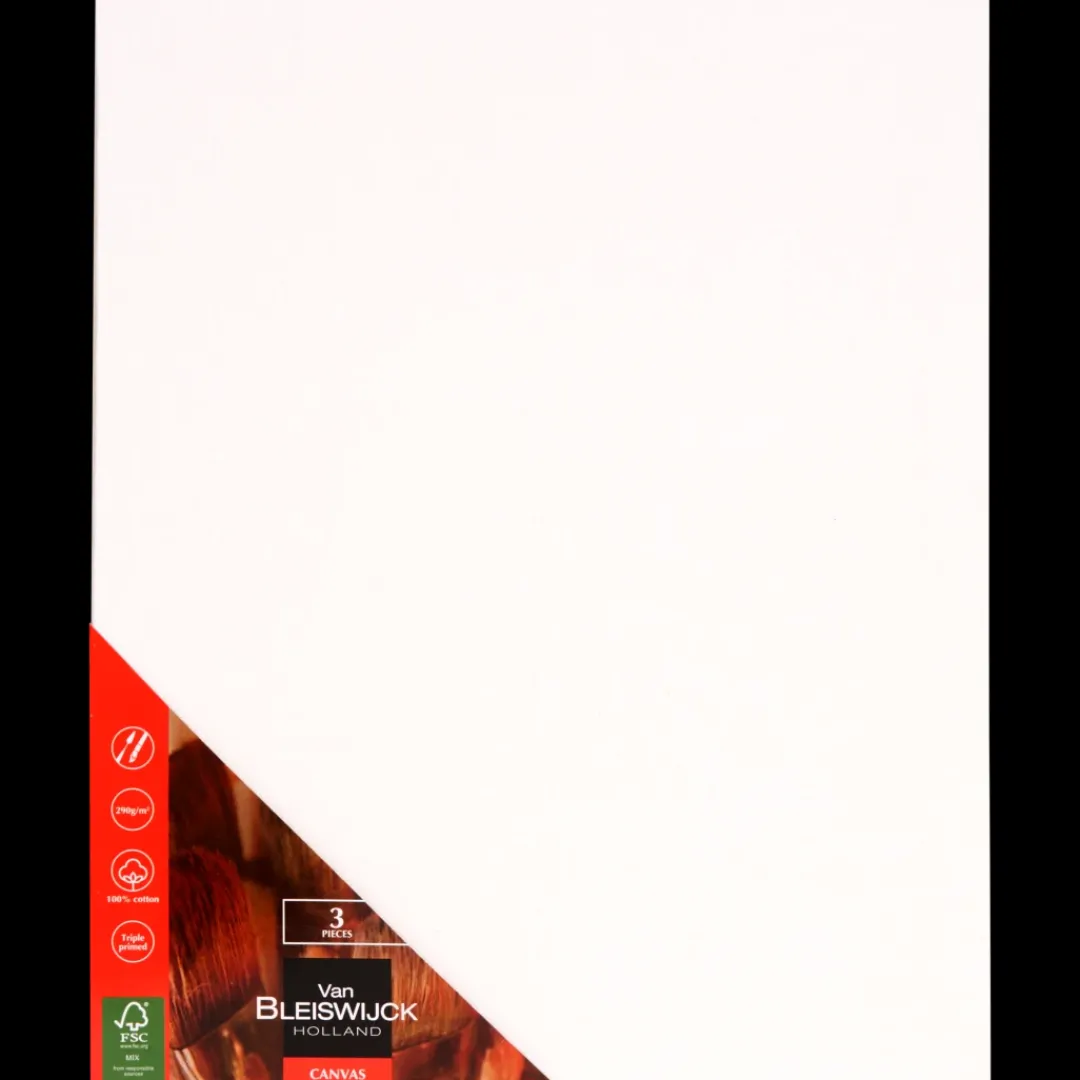 Van Bleiswijck Toiles à peindre | Action FR Clearance